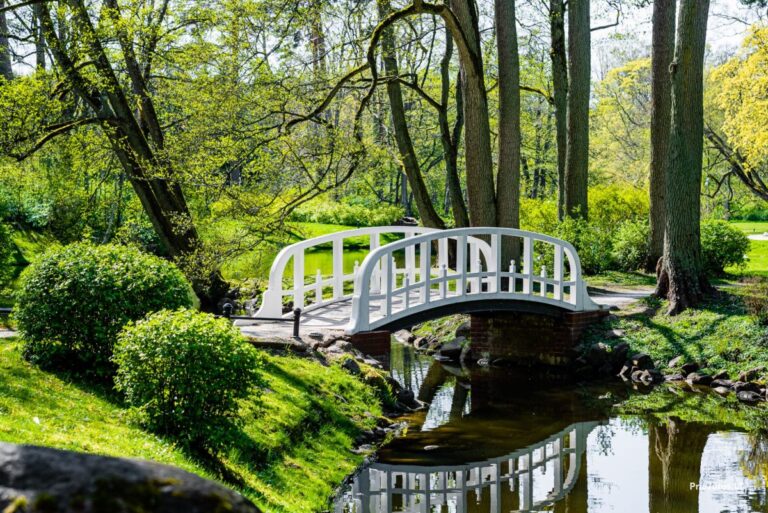 palangos-botanikos-birutes-242512-1200